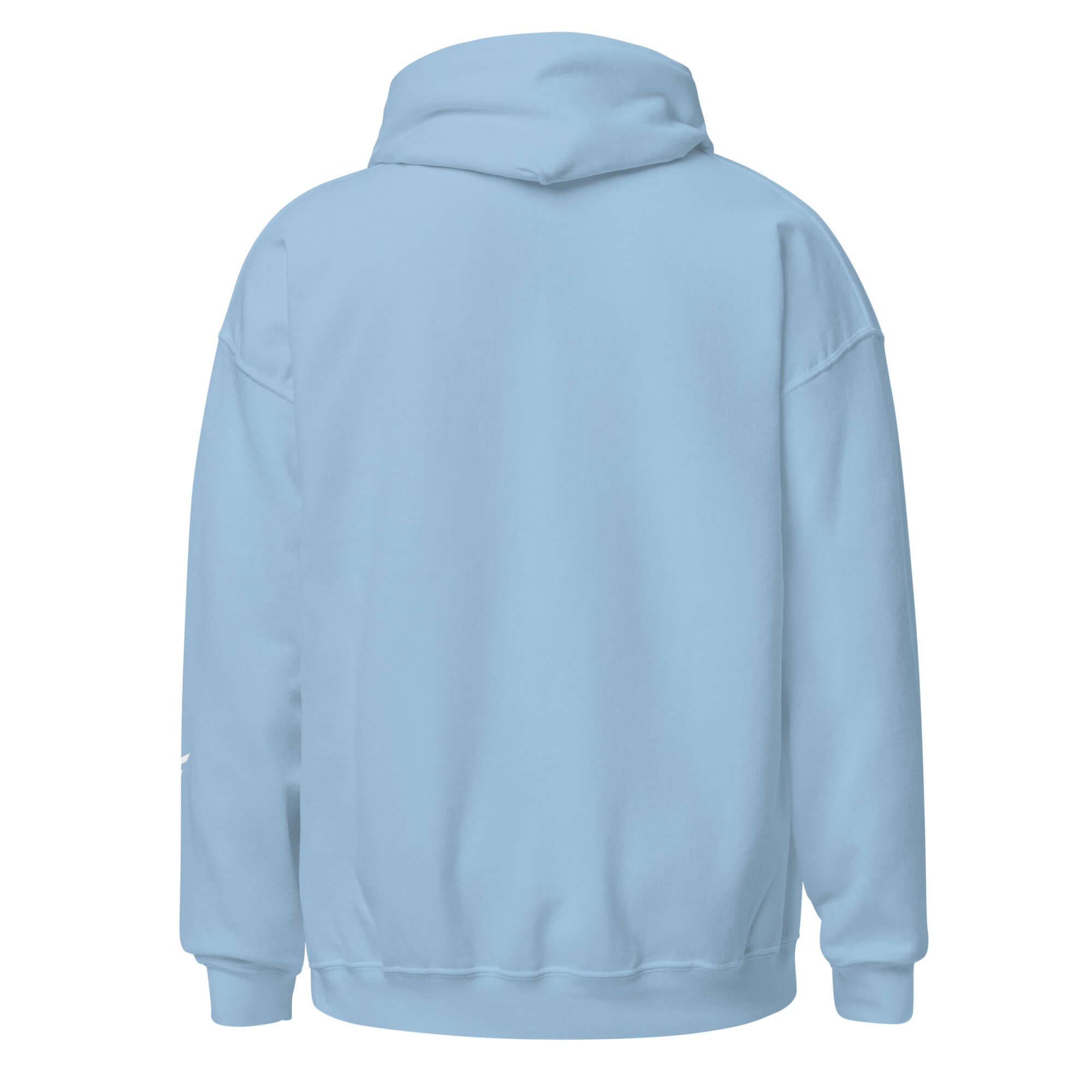 Back view of a light blue women's hoodie featuring a cozy design and soft cotton blend for everyday comfort.